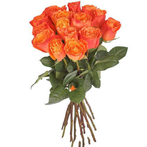 Купить букет из 15-ти оранжевых роз с доставкой по Абатскому